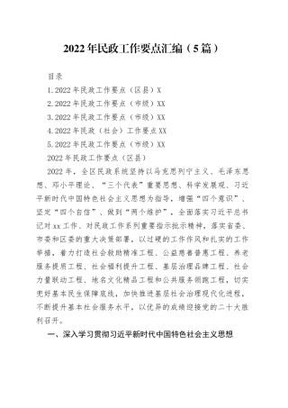 2022年民政工作要点汇编（5篇）