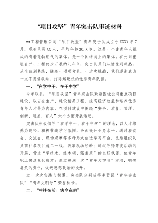 “项目攻坚”青年突击队事迹材料.docx