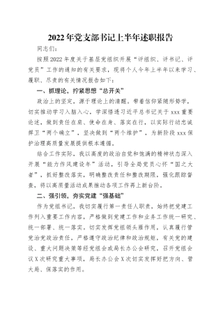 2022年党支部书记上半年述职报告（1）