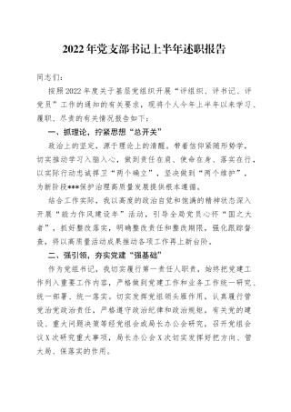 2022年党支部书记上半年述职报告