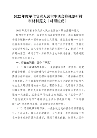 2022年度单位负责人民主生活会检视剖析材料材料范文（对照检查）
