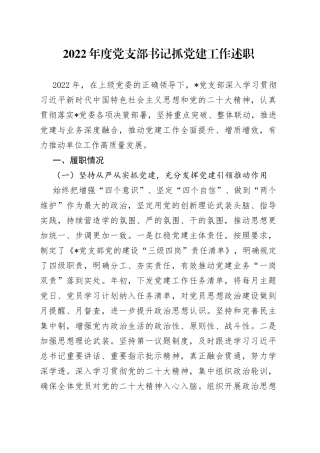 2022年度党支部书记抓党建工作述职