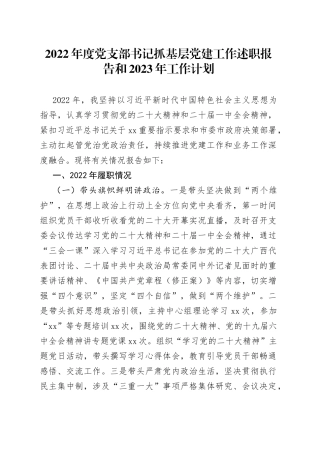 2022年度党支部书记抓基层党建工作述职报告和2023年工作计划70089