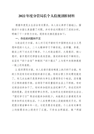 2022年度分管局长个人检视剖析材料0
