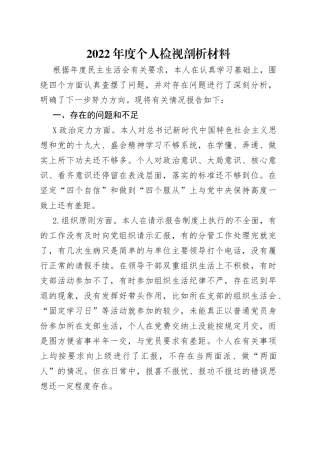 2022年度个人检视剖析材料
