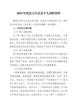 2022年度民主生活会个人剖析材料2