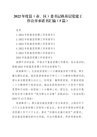 2022年度县（市、区）委书记抓基层党建工作公开承诺书汇编（5篇）