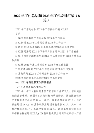 2022年工作总结和2023年工作安排汇编（8篇）
