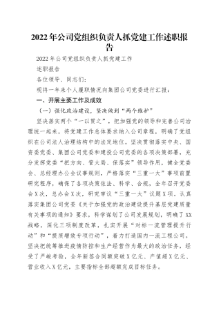 2022年公司党组织负责人抓党建工作述职报告