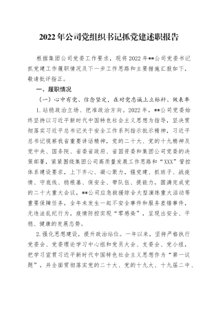 2022年公司党组织书记抓党建述职报告523